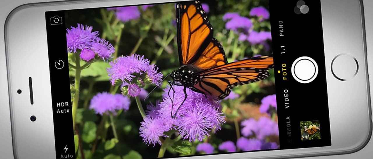 App In Ordine Di Colore Iphone